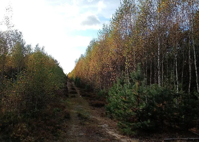 Prázdninový dům Siedlisko Radogoszcz, Jacuzzi ,sauna *